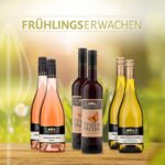 2026 03 13 10 46 52 4740 .jpg